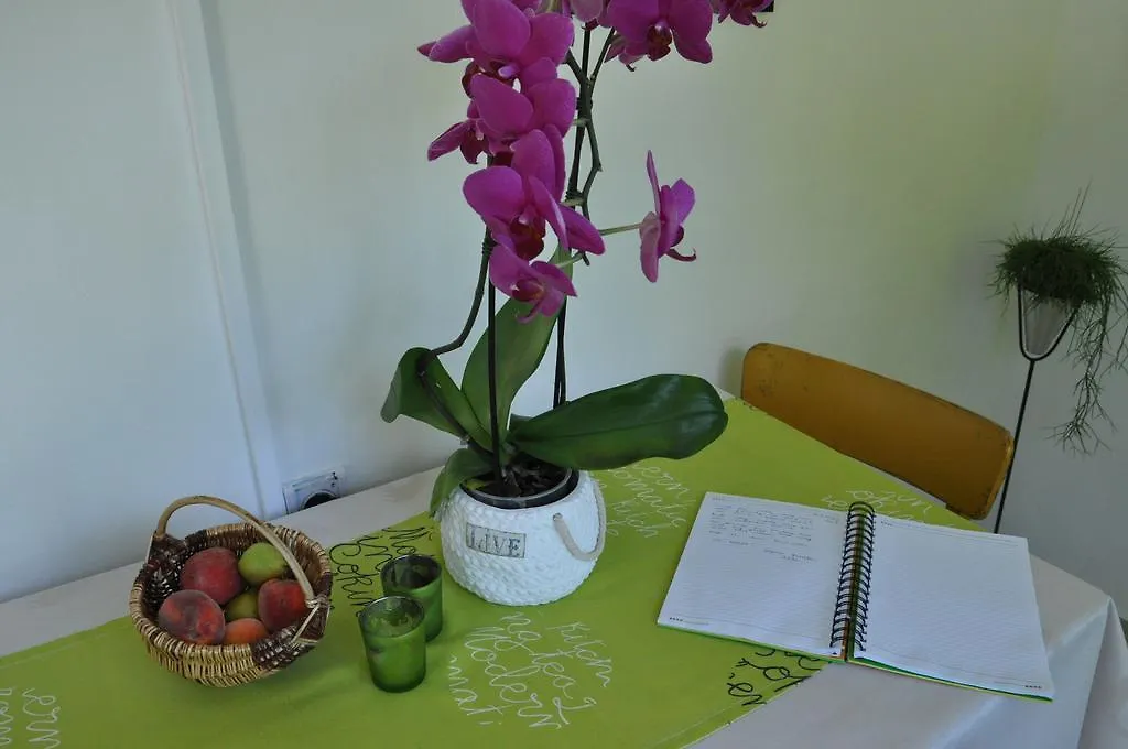 Apartment Marioni Buzet Croatia