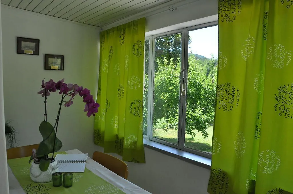 Apartment Marioni Buzet 0*,