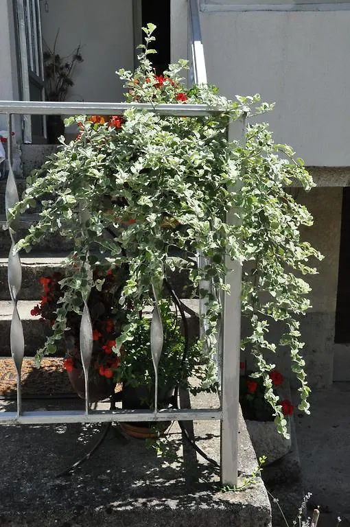 Apartment Marioni Buzet 0*,  Croatia
